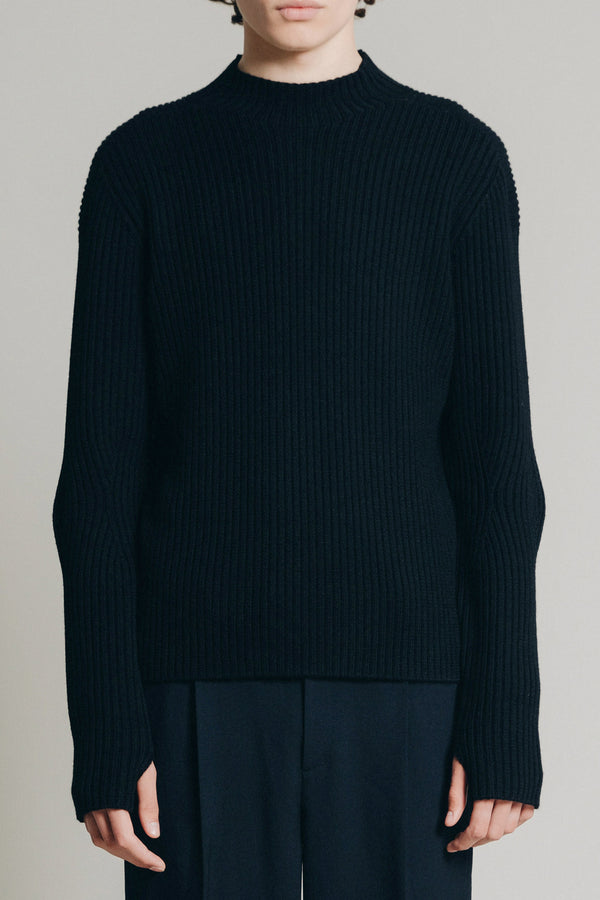 W1ad Ribbed Merino Knit